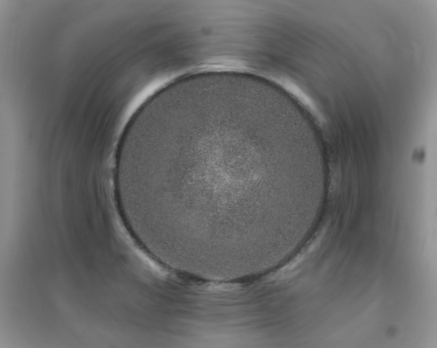 X0000094961325200711291431