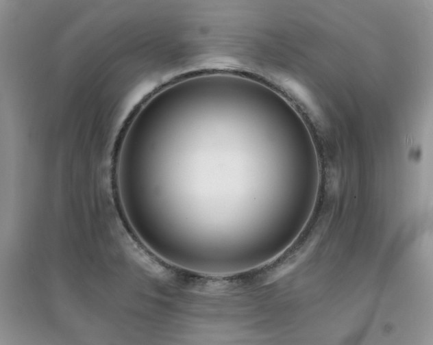 X0000094961326200711291431
