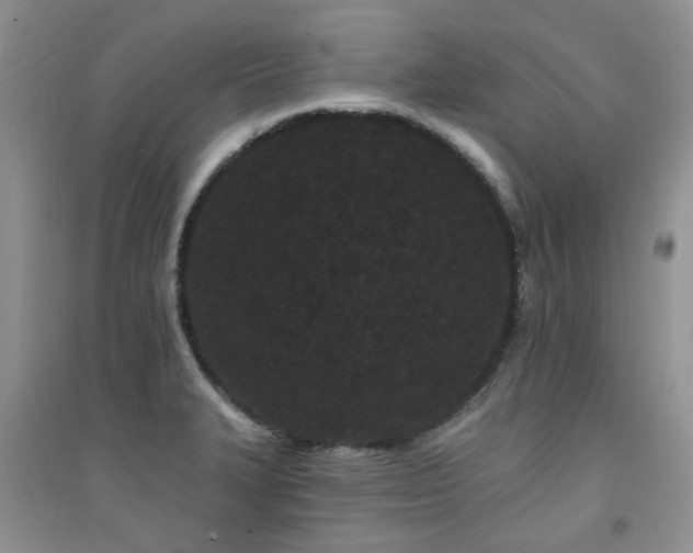 X0000094961327200711291431