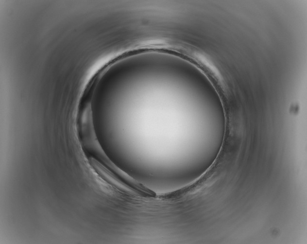 X0000094961328200711291431
