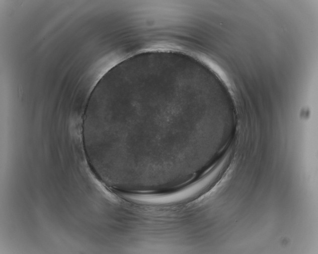 X0000094961329200711291431