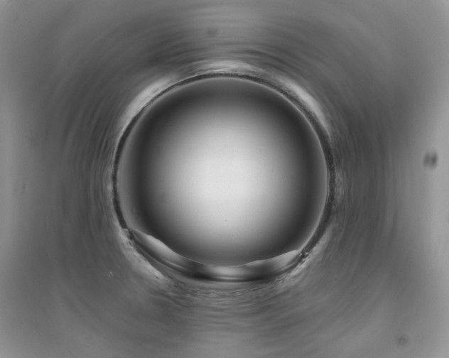 X0000094961330200711291431