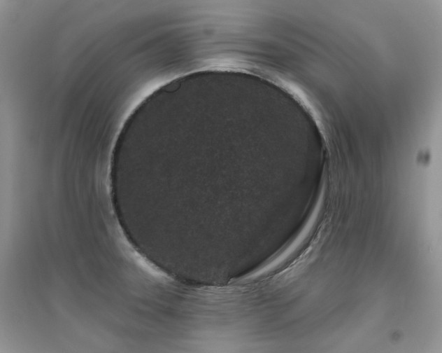 X0000094961331200711291431