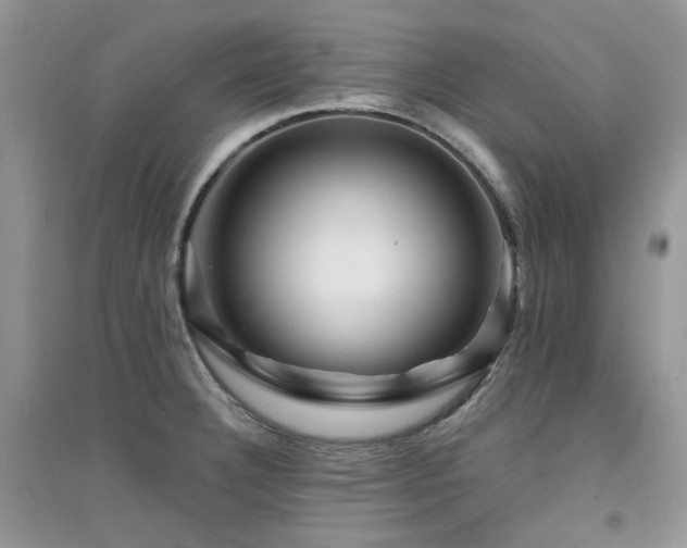 X0000094961332200711291431