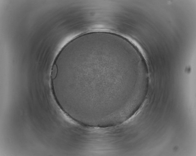 X0000094961333200711291431