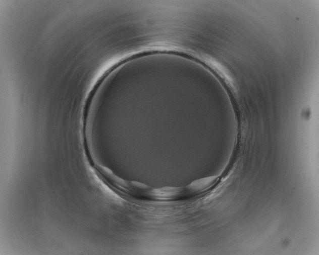 X0000094961334200711291431