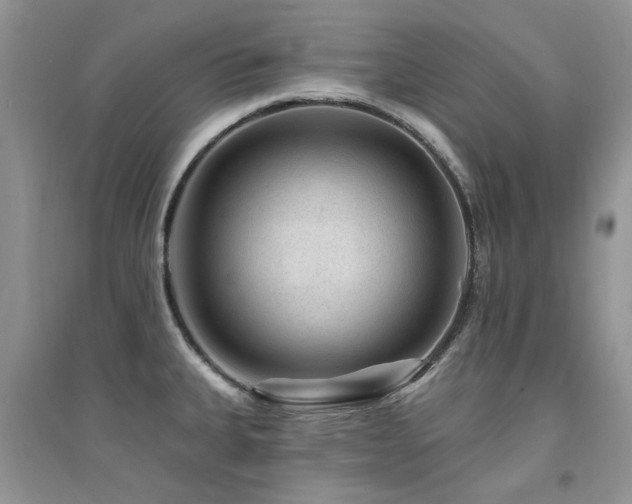 X0000094961335200711291431