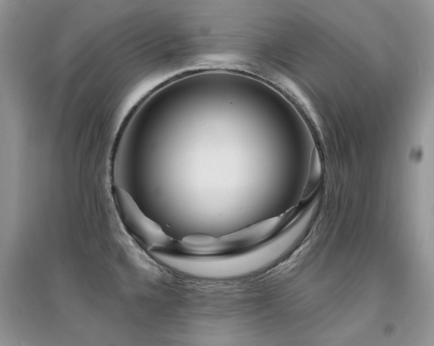 X0000094961336200711291431
