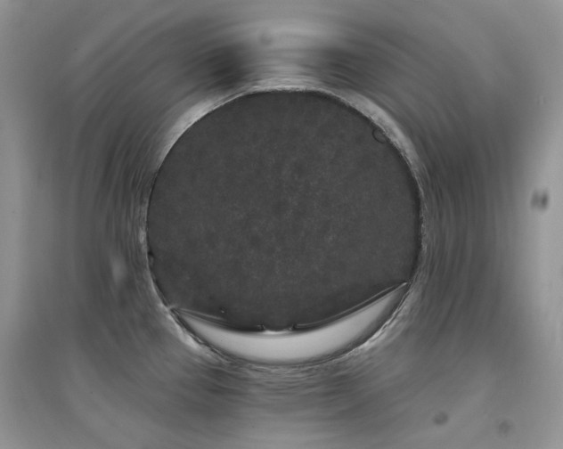 X0000094961337200711291431
