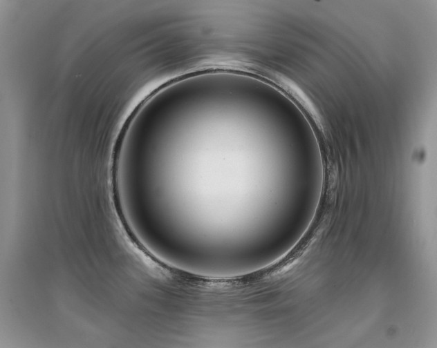 X0000094961339200711291431