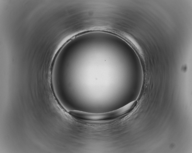 X0000094961340200711291431