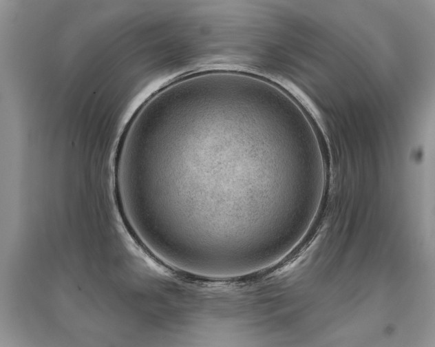 X0000094961341200711291431