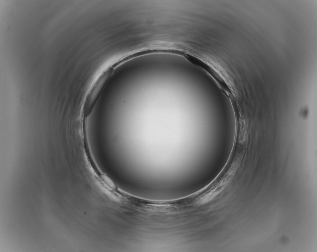 X0000094961342200711291431