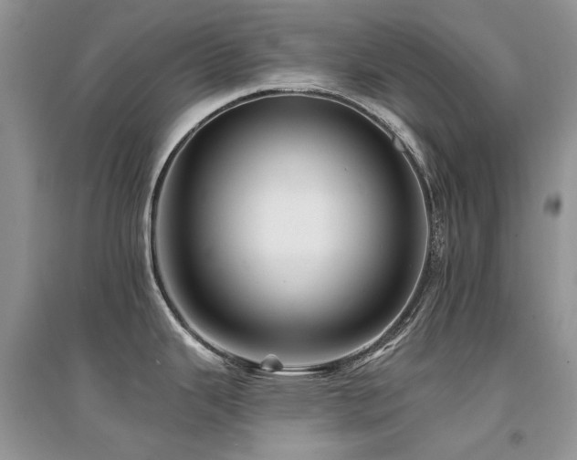 X0000094961343200711291431