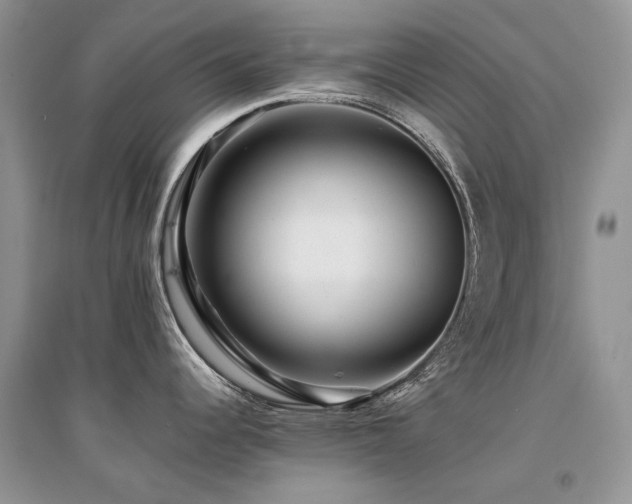 X0000094961344200711291432