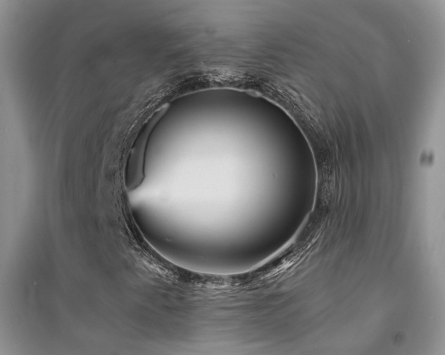 X0000094961345200711291431