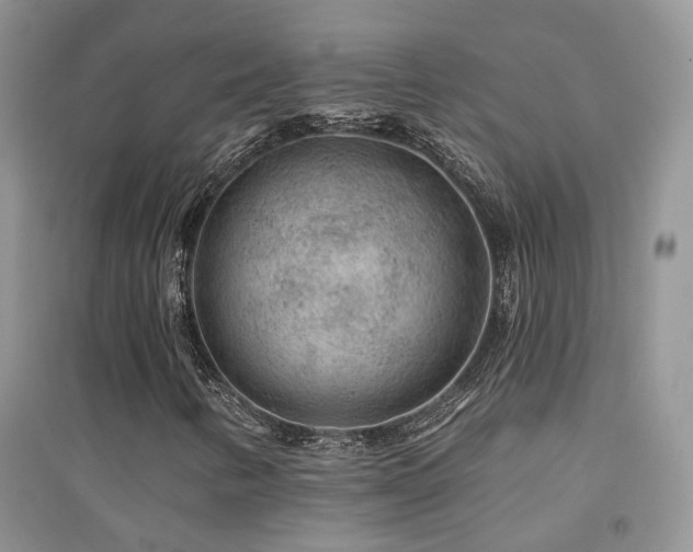 X0000094961346200711291431