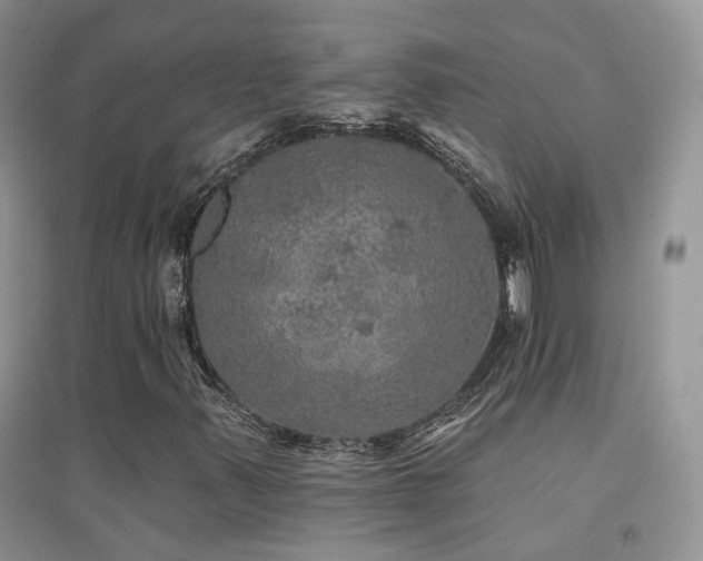 X0000094961347200711291431