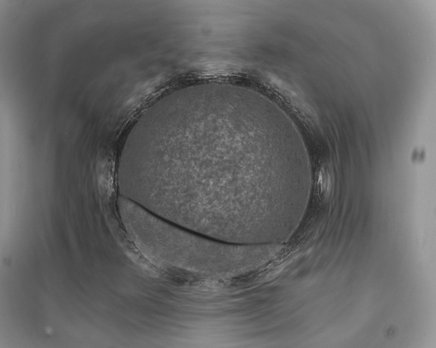 X0000094961348200711291431