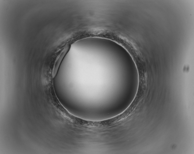 X0000094961349200711291431