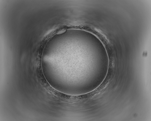 X0000094961350200711291431