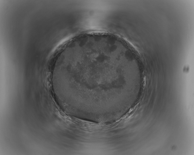 X0000094961351200711291431