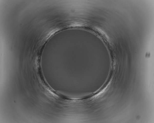 X0000094961353200711291431