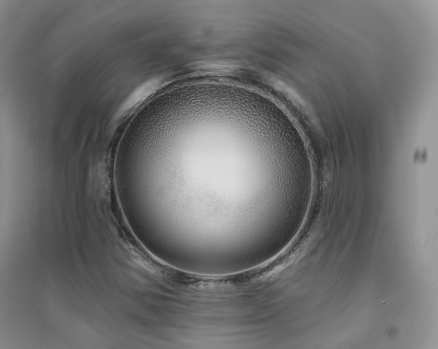 X0000094961354200711291431