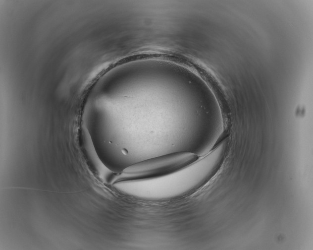 X0000094961355200711291431