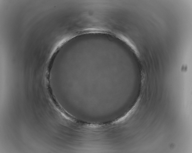 X0000094961357200711291431