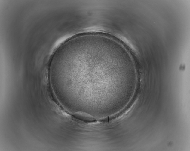 X0000094961358200711291430