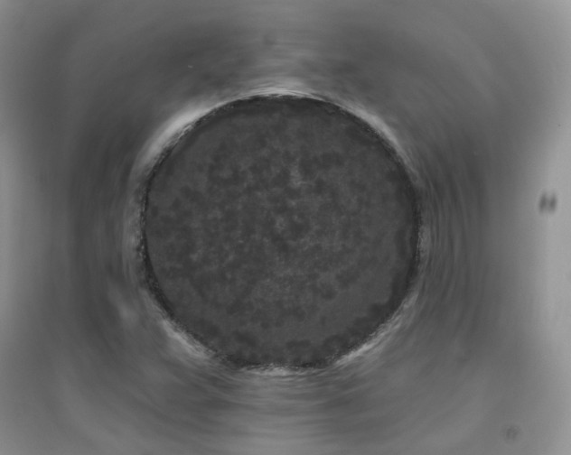 X0000094961359200711291430