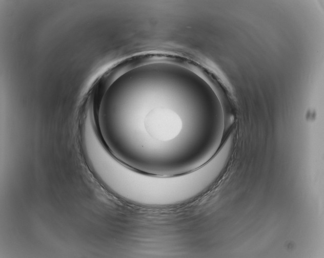X0000094961360200711291430