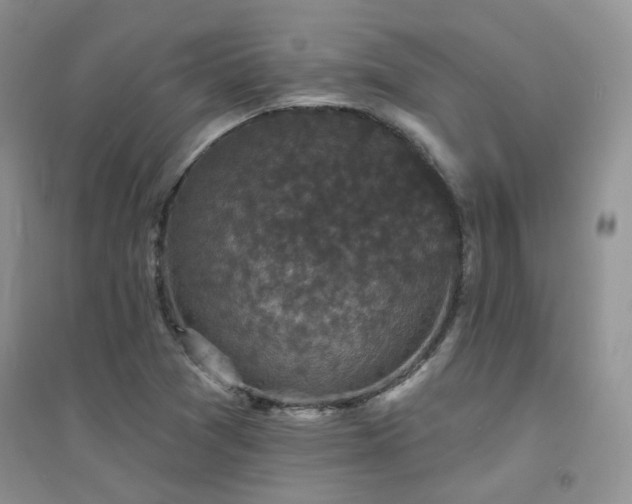 X0000094961361200711291430