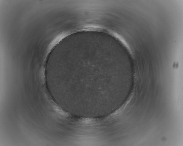 X0000094961362200711291430