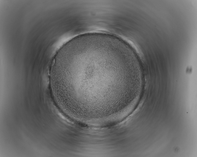 X0000094961363200711291430