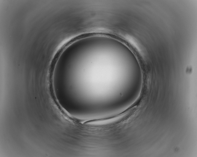X0000094961364200711291430