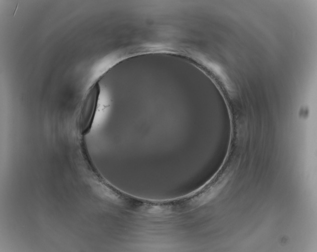 X0000094961365200711291430
