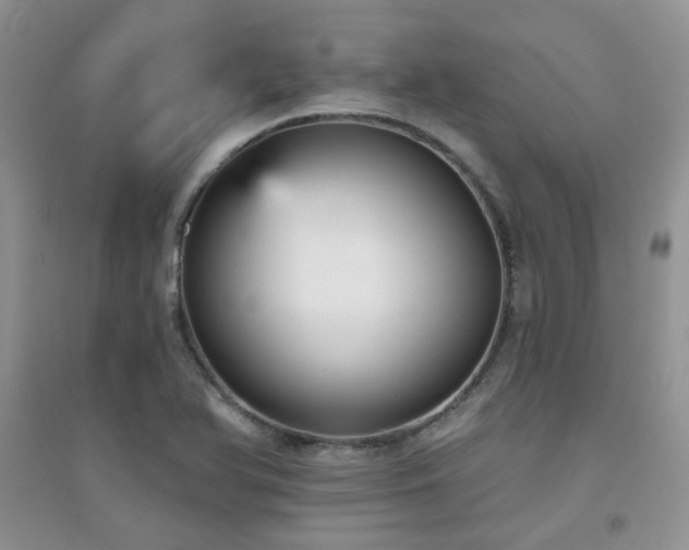 X0000094961366200711291430