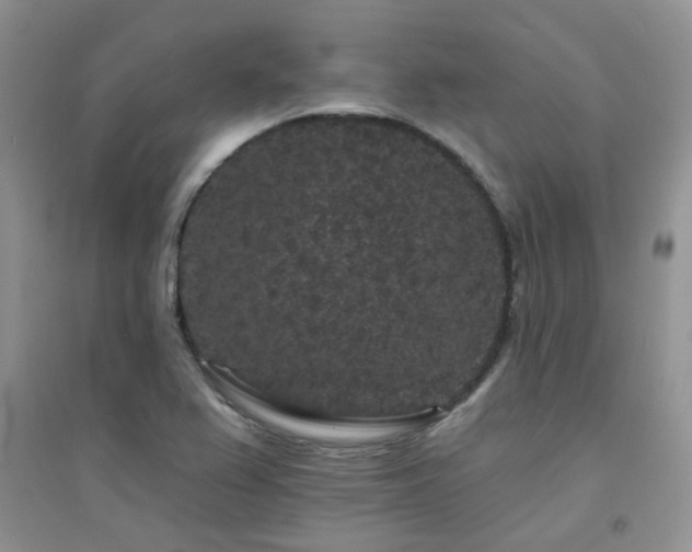 X0000094961367200711291430