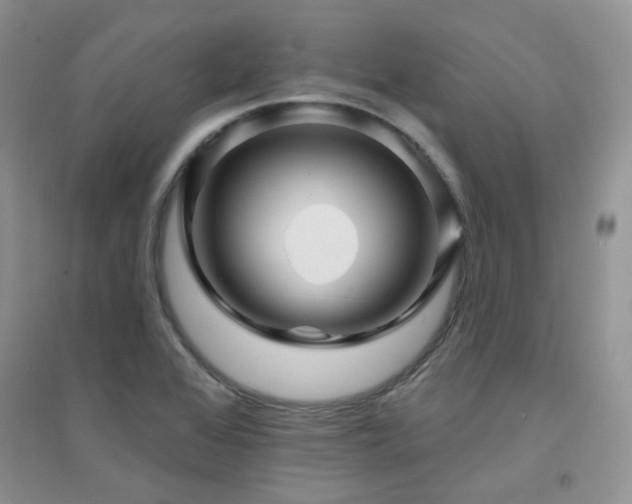 X0000094961368200711291430