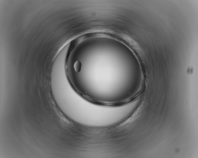 X0000094961369200711291430