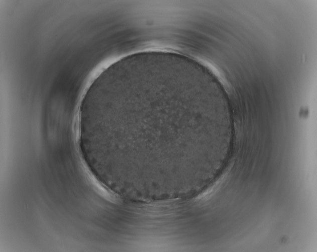 X0000094961371200711291430