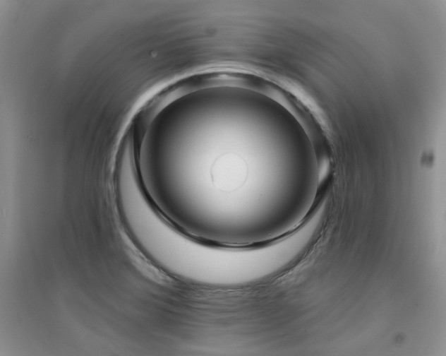 X0000094961372200711291430