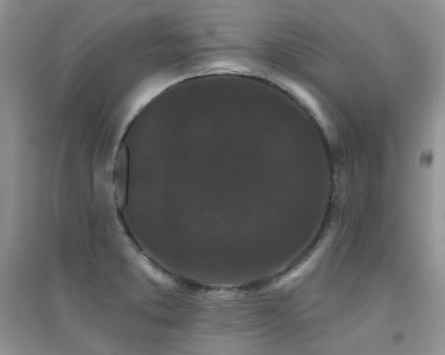 X0000094961373200711291430