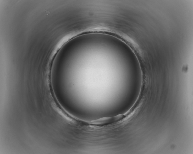 X0000094961374200711291430