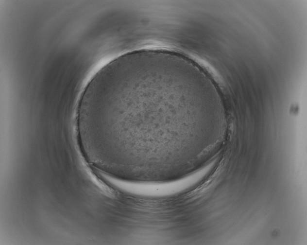 X0000094961375200711291430