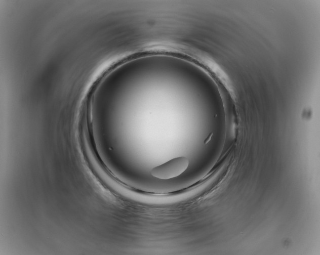 X0000094961376200711291430