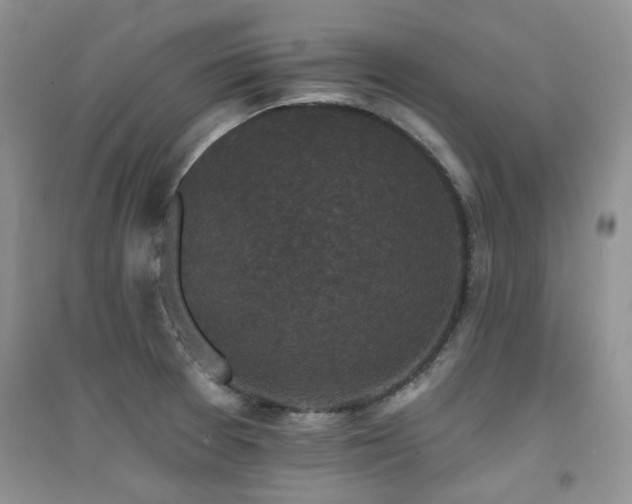 X0000094961377200711291430