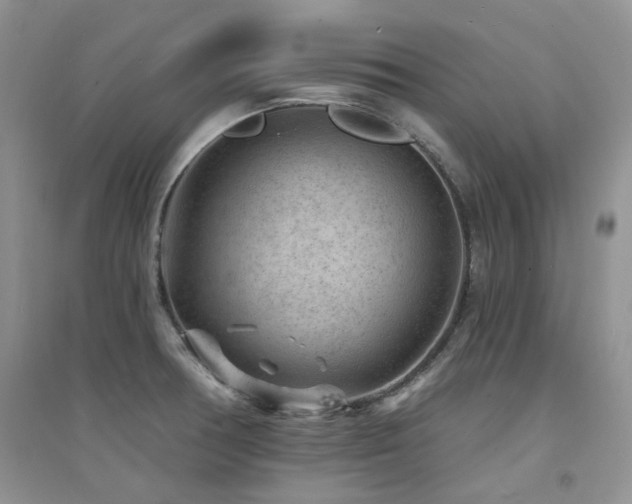 X0000094961378200711291430